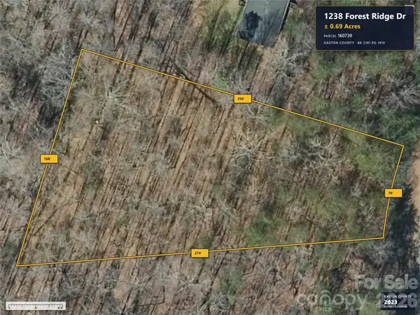 1238 Forest Ridge Drive, Bessemer City, NC 28016