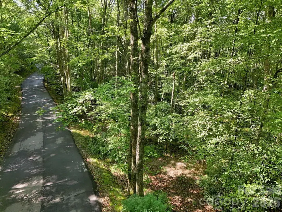 2619 Trays Island Road, Sapphire, NC 28774 - #3