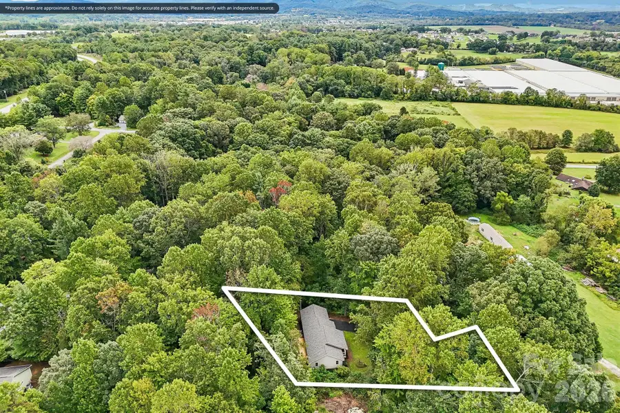 251 Angeline Drive, Mills River, NC 28759 - #3
