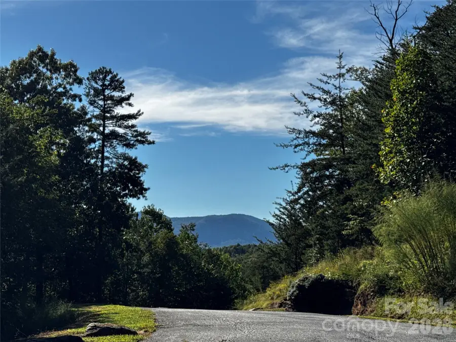 0 Rock Ledge Drive #240, 307, 346, Lake Lure, NC 28746 - #3