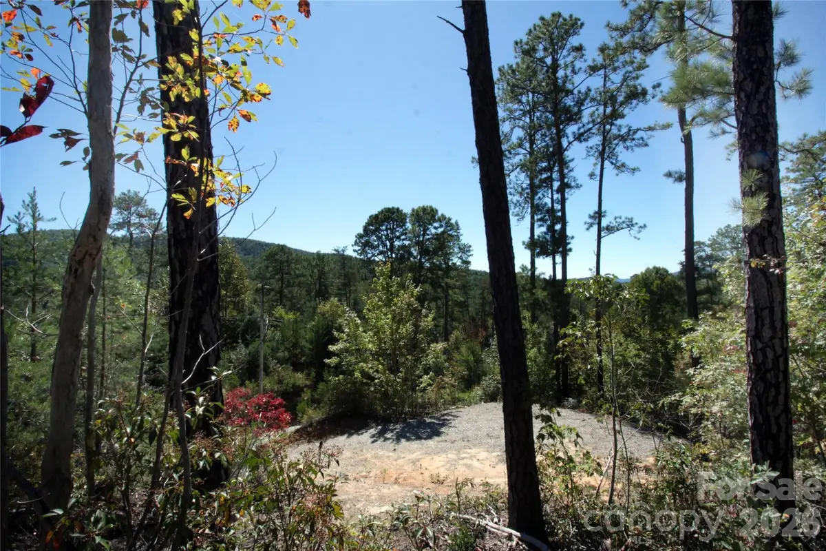 Lot 25 Round Mountain Road #25, Brevard, NC 28712 - #1