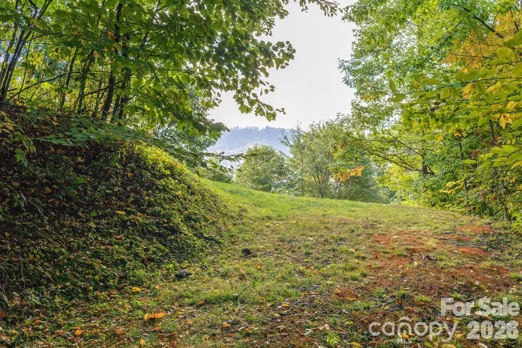 Lot 2 Ball Hooter Road #2/6, Burnsville, NC 28714 - #1