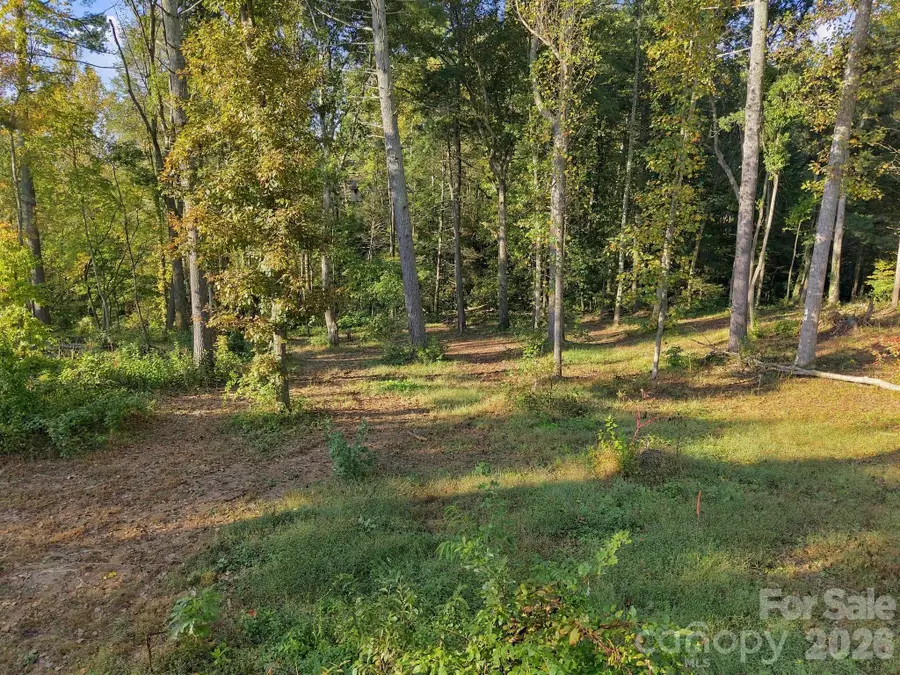 99999 Cane Creek Road, Fletcher, NC 28732 - #3