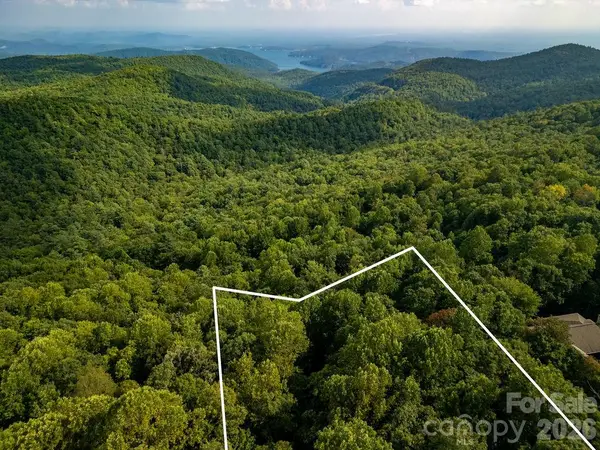 Lot 51 Waddle Branch Road #51, Sapphire, NC 28774