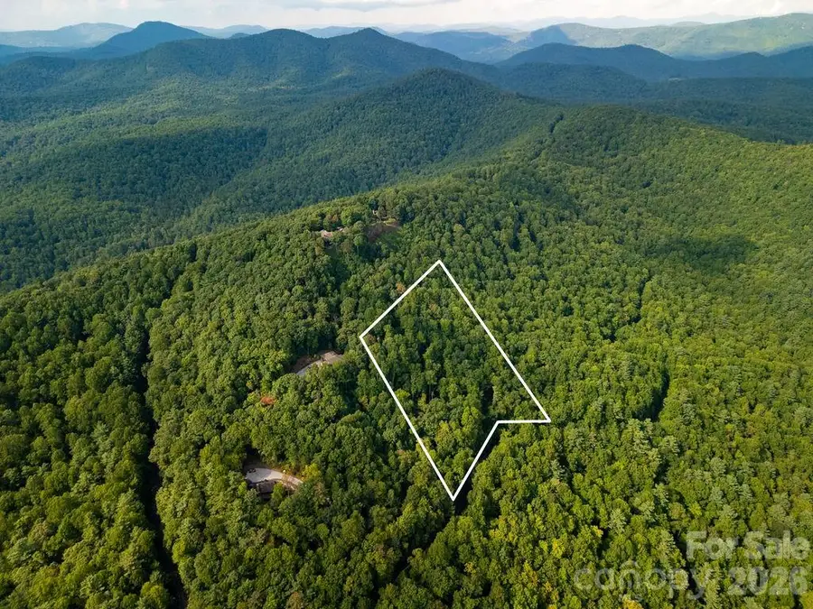 Lot 51 Waddle Branch Road #51, Sapphire, NC 28774 - #2