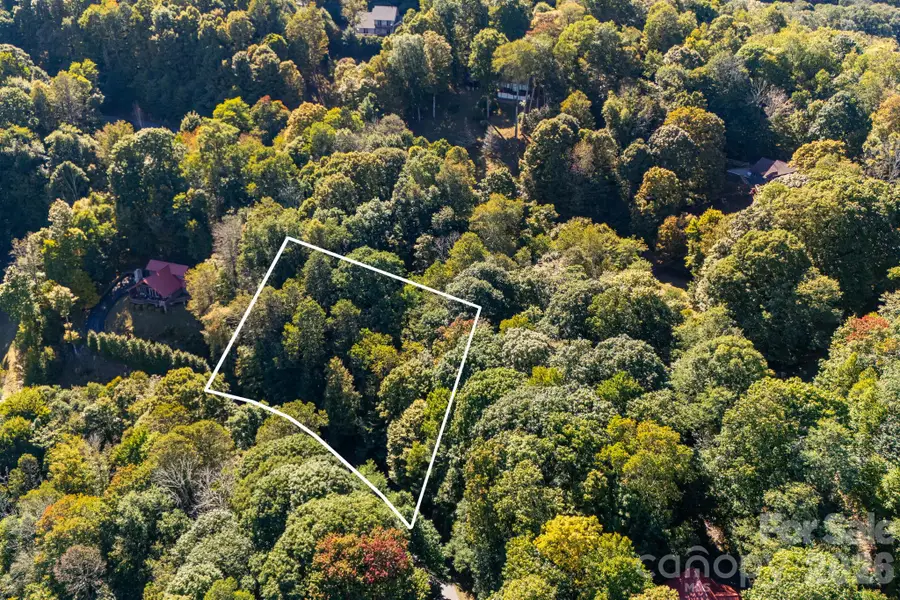 74 Goldenleaf Road, Mars Hill, NC 28754 - #3