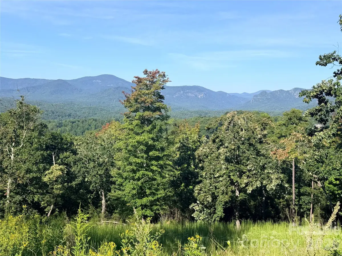 0 Summertime Drive, Lake Lure, NC 28746 - #1