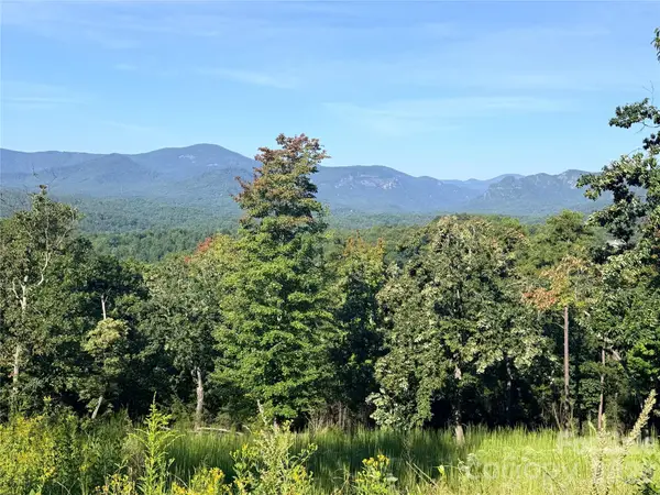 0 Summertime Drive, Lake Lure, NC 28746