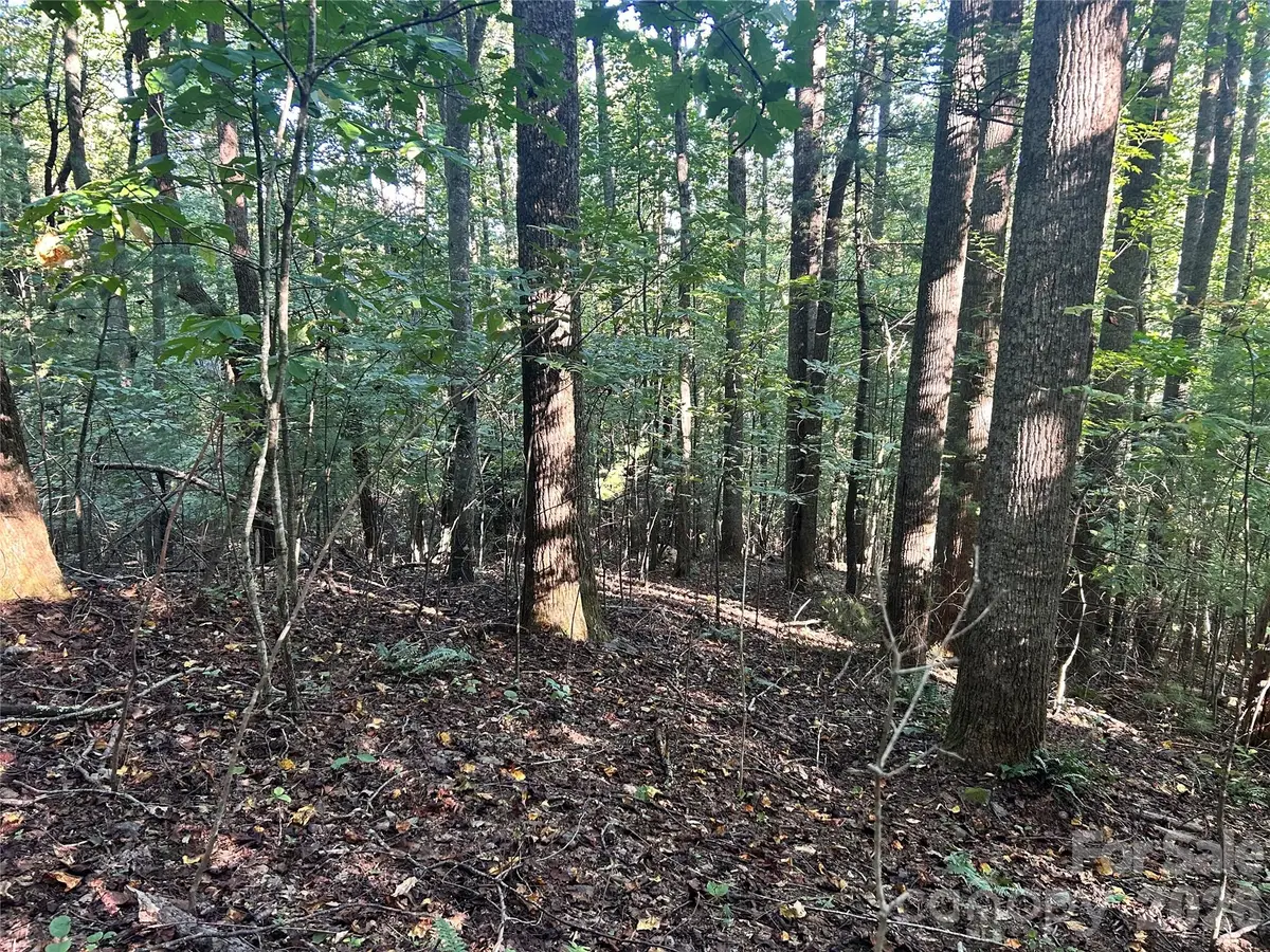 TBD Mt Hebron Road #36, Hendersonville, NC 28739 - #1