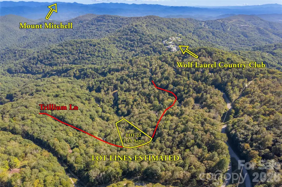 22 Trillium Lane #22, Mars Hill, NC 28754 - #2