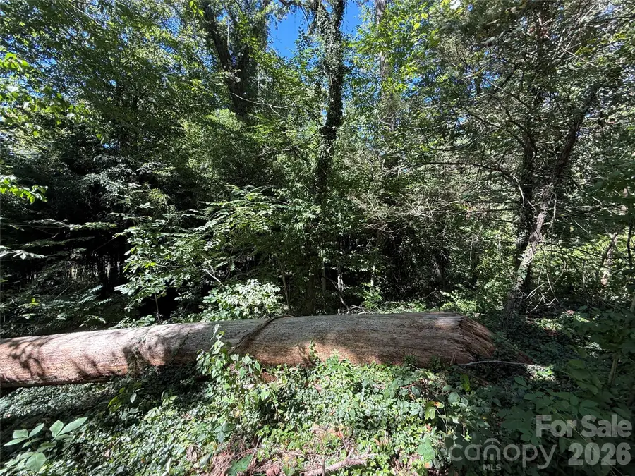 99999 Roebling Circle #39, Asheville, NC 28803 - #3