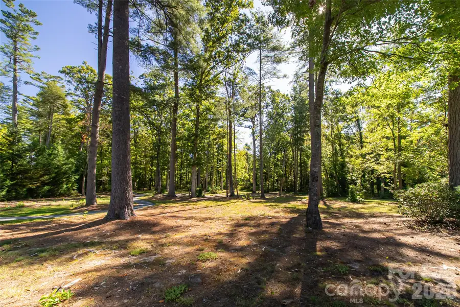 9999 Sherwood Drive S, Flat Rock, NC 28731 - #3