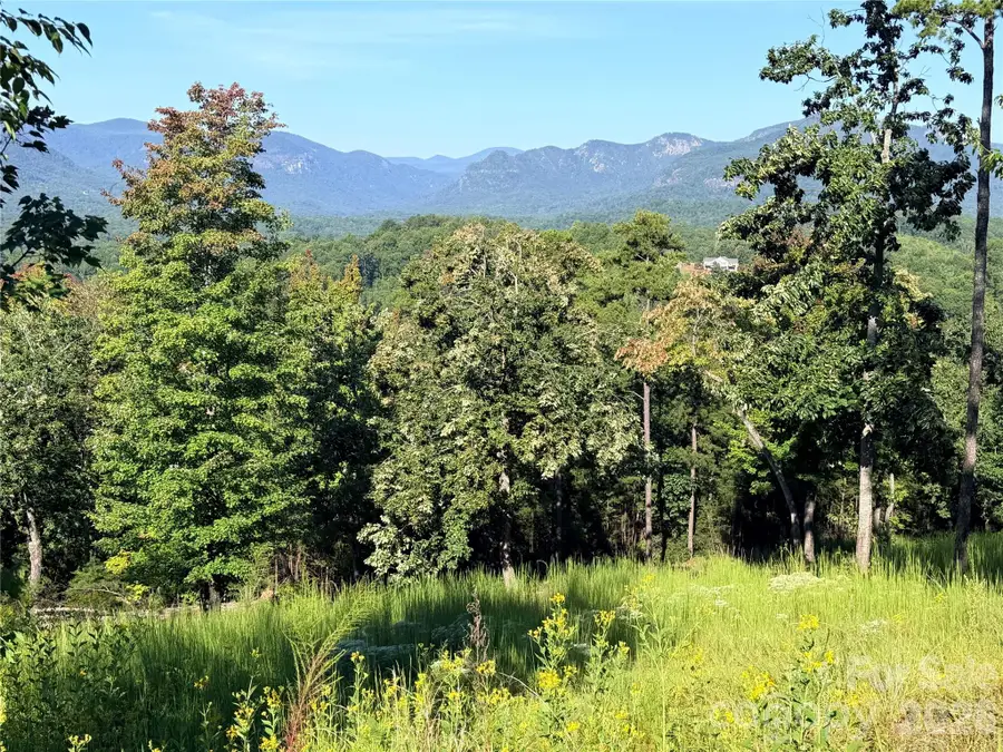 0 Summertime Drive, Lake Lure, NC 28746 - #2