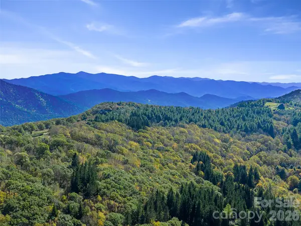 99999 Eagle Bald Trail, Burnsville, NC 28714