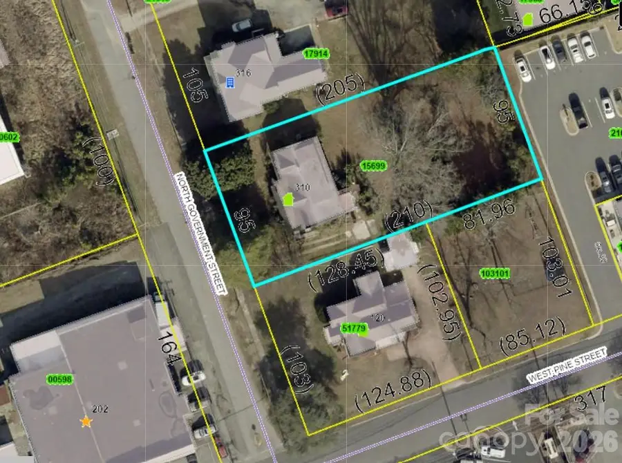 310 N Government Street, Lincolnton, NC 28092 - #2
