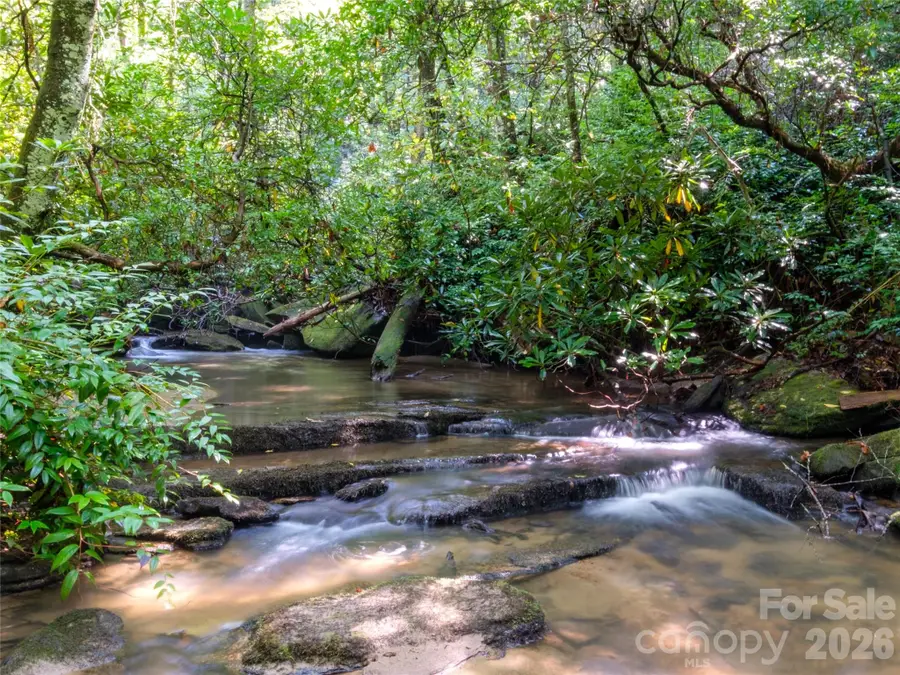 158 Bucks Crossing, Brevard, NC 28712 - #3