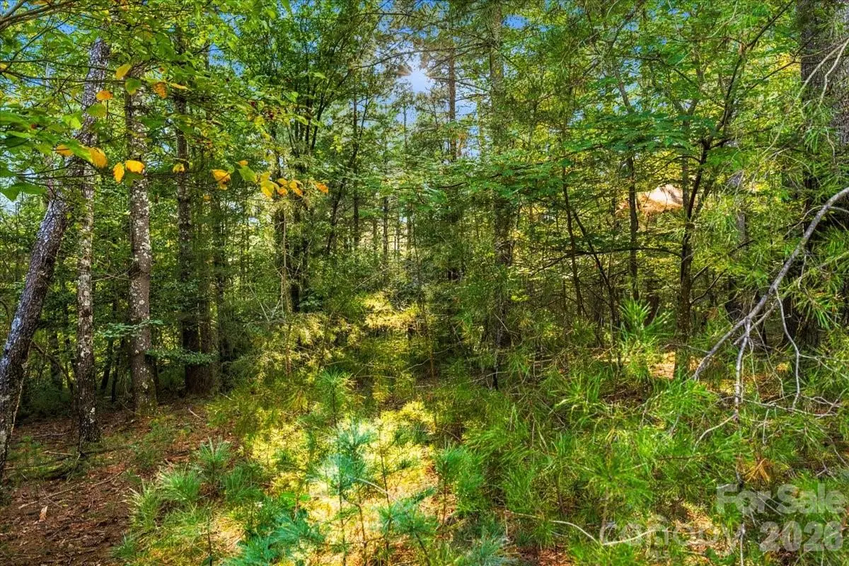 60 Kingfisher Terrace #107, Nebo, NC 28761 - #1