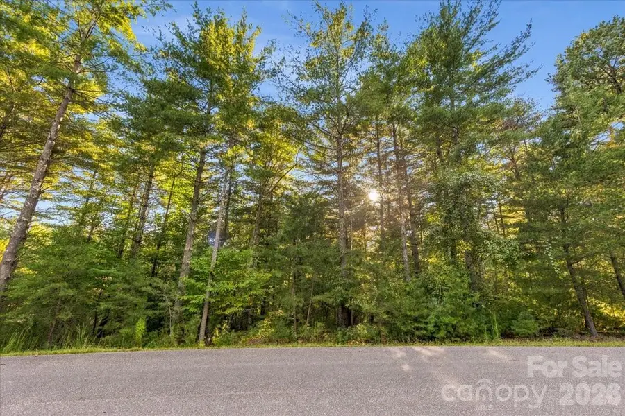 60 Kingfisher Terrace #107, Nebo, NC 28761 - #2