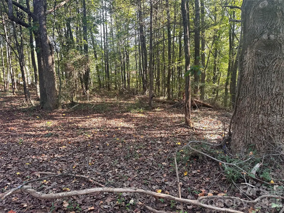 86 Sunrise Trail, Lincolnton, NC 28092 - #1