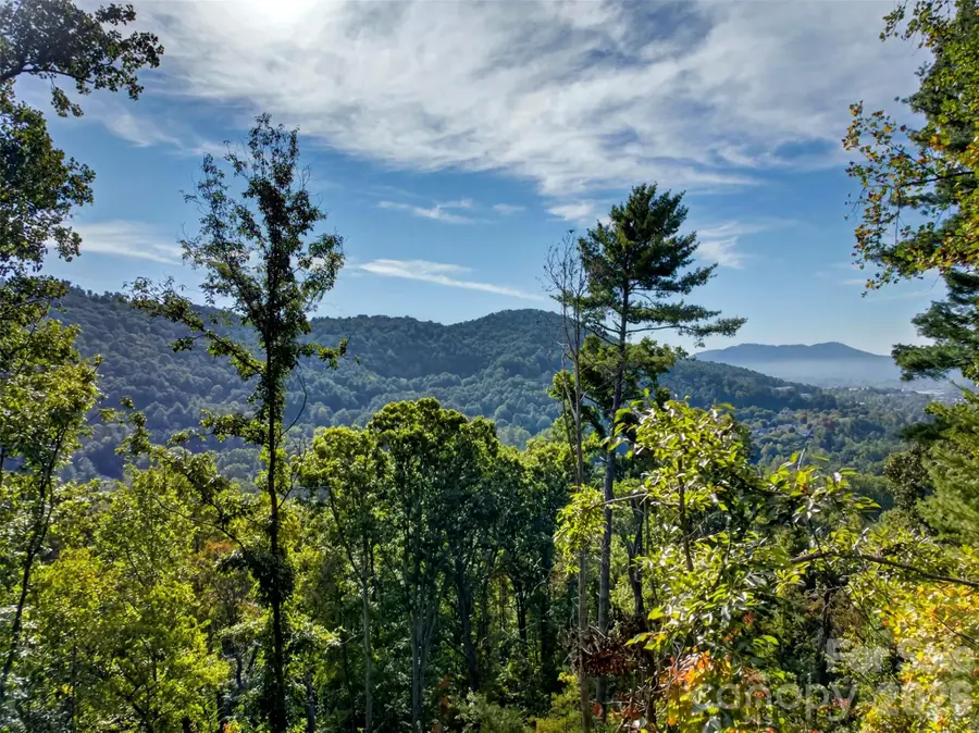 99999 Vance Gap Road, Asheville, NC 28804 - #3