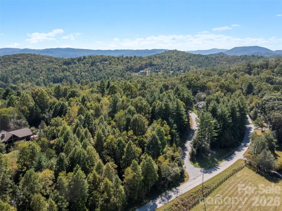 00 Holly Haven Court #1, Mills River, NC 28759 - #3