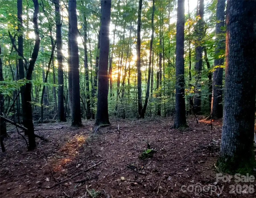 0 Joyful Lane, Hendersonville, NC 28791 - #3