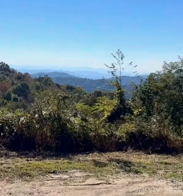 2 Ridge Top Loop, Mars Hill, NC 28754 - #2