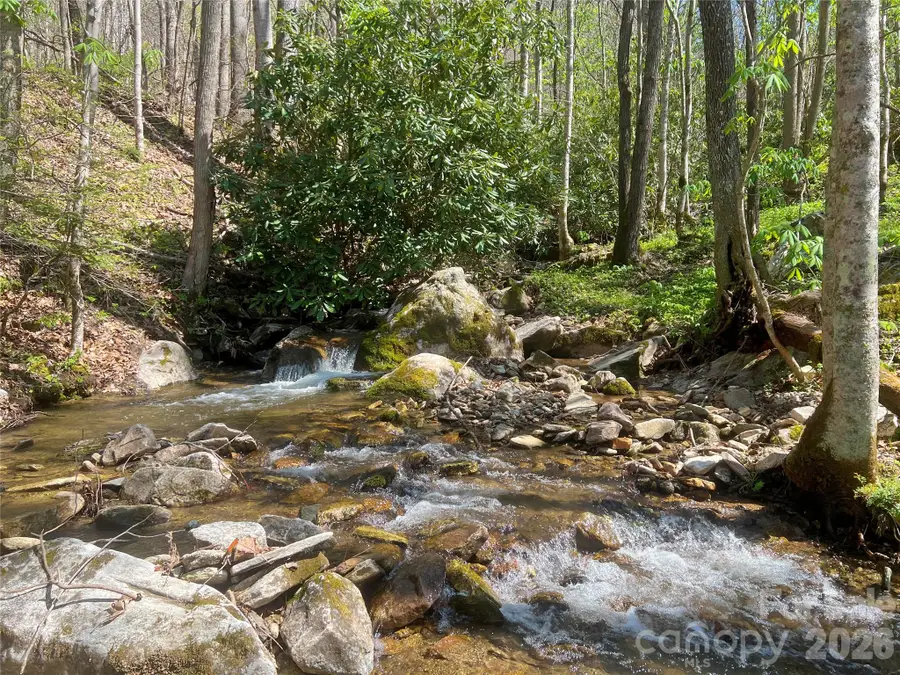 TBD Baltimore Branch Road, Hot Springs, NC 28743 - #2