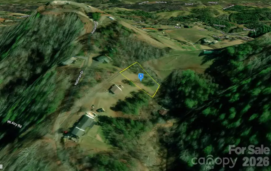 99999 Hallaran Drive, Marshall, NC 28753 - #2