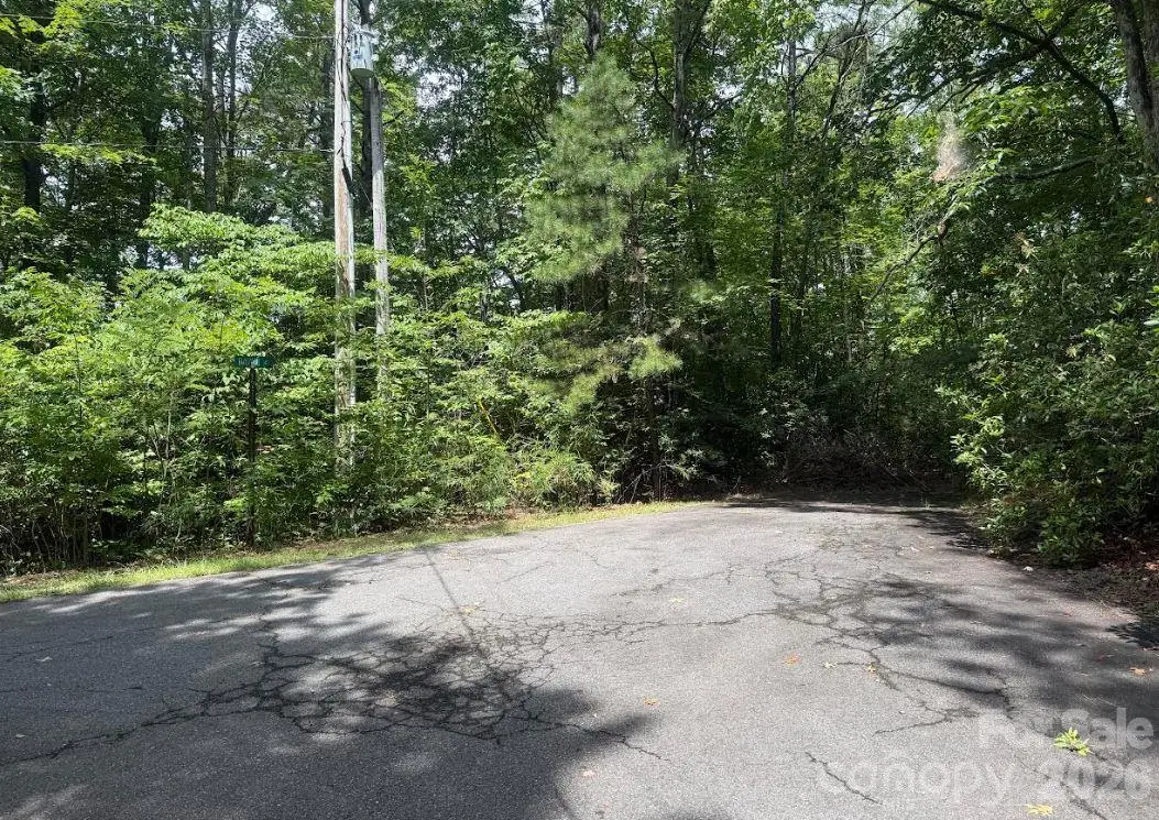 6 David Court, Brevard, NC 28712 - #1