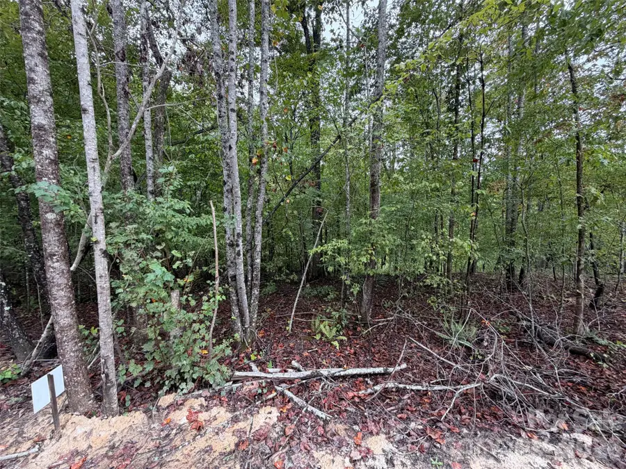 V/L W V Thompson Road, Rutherfordton, NC 28139 - #3