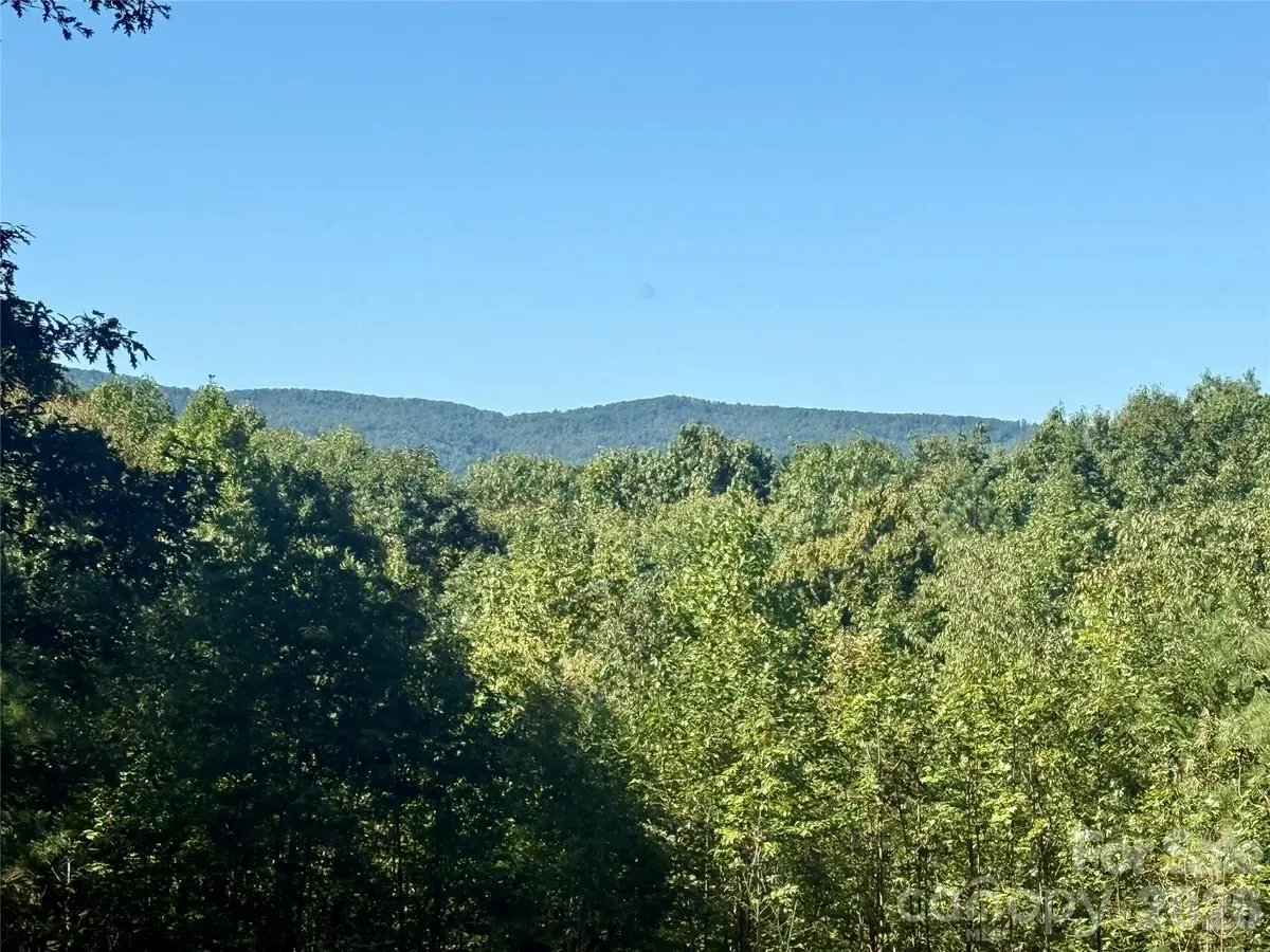 V/L Grandview Loop #376, Nebo, NC 28761 - #1