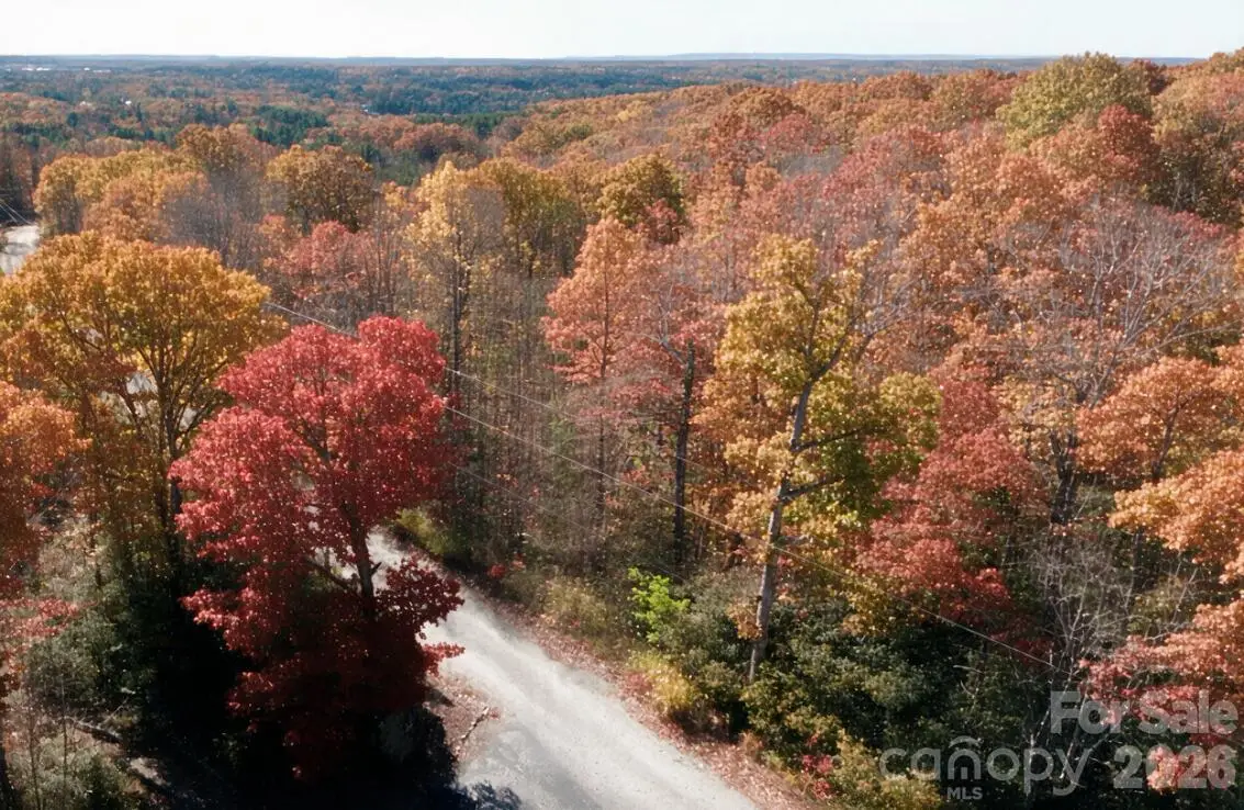 45 Autumn View Drive, Hendersonville, NC 28792 - #1