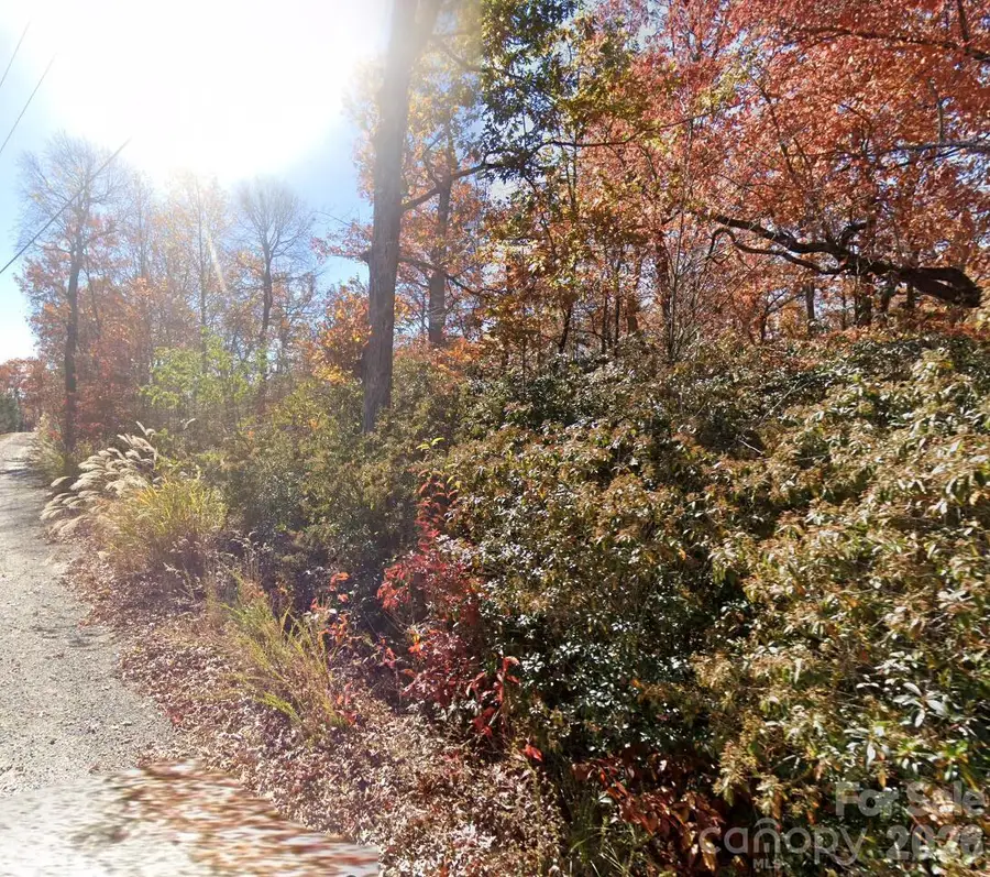 45 Autumn View Drive, Hendersonville, NC 28792 - #2