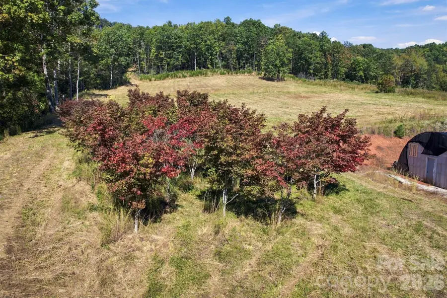 2305 Alfred Hartley Road, Lenoir, NC 28645 - #3
