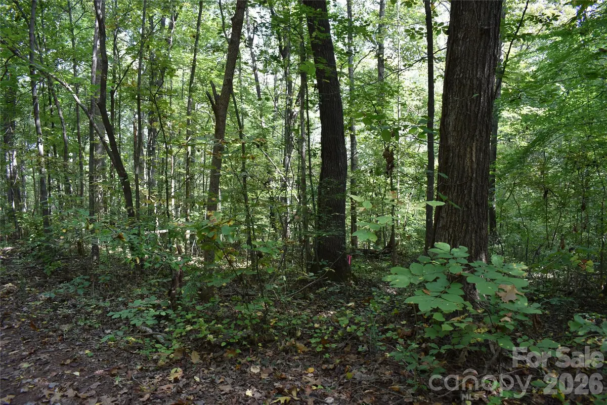 #167 Rolling Road, Lincolnton, NC 28092 - #1
