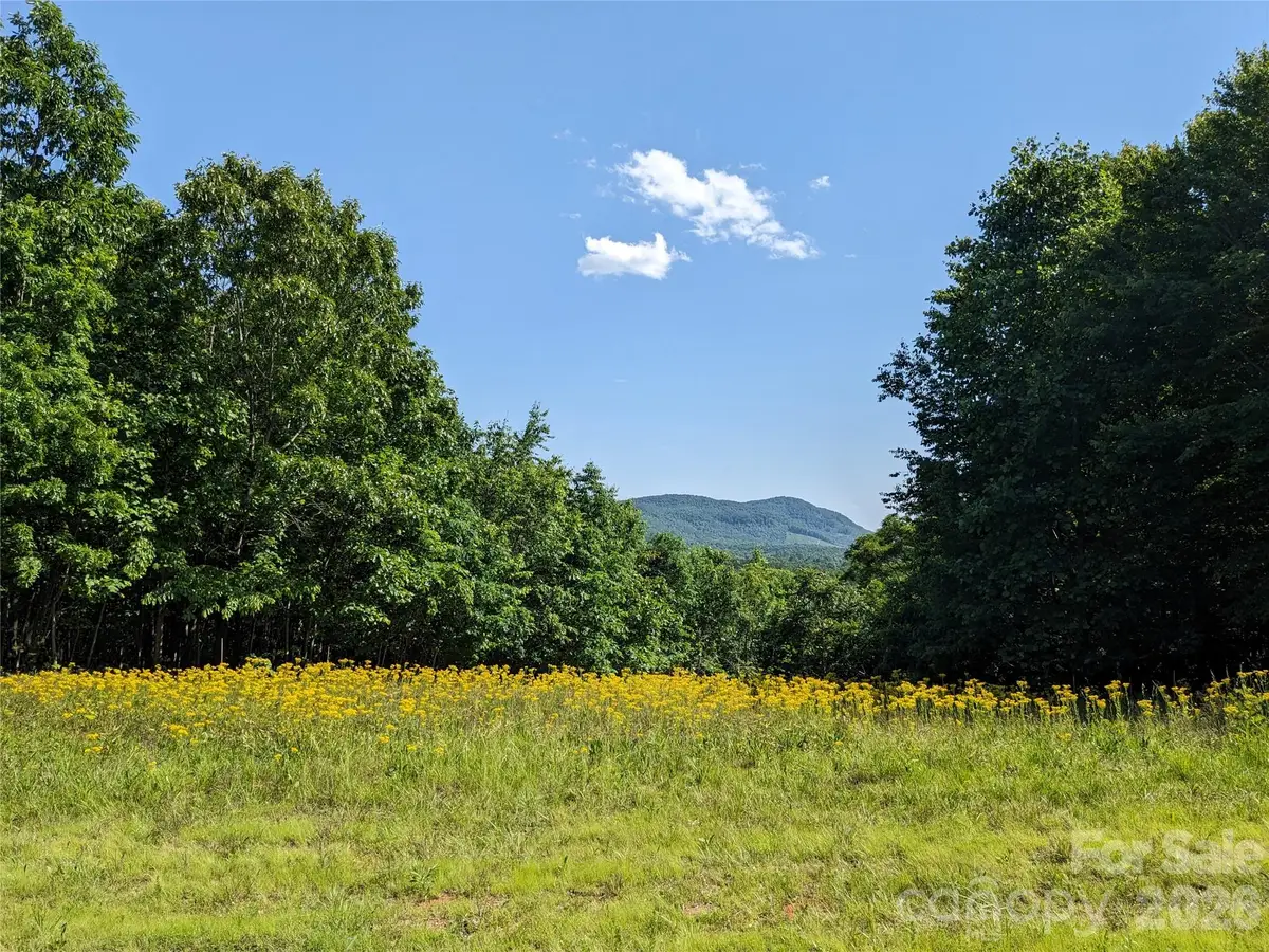 00 Stratford Drive #78, Bostic, NC 28018 - #1