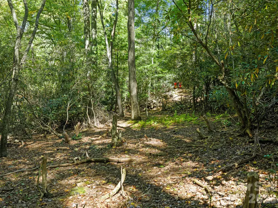 000 Davenport Road, Spruce Pine, NC 28777 - #2