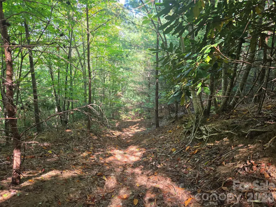 2650 Russell Gap Road, Moravian Falls, NC 28654 - #3