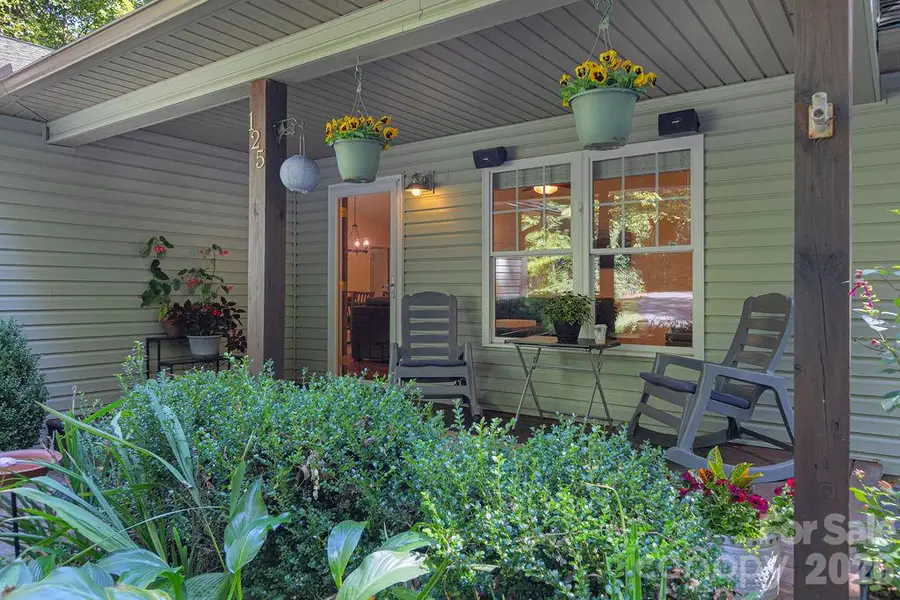 125 Rollins Place Road, Brevard, NC 28712 - #2