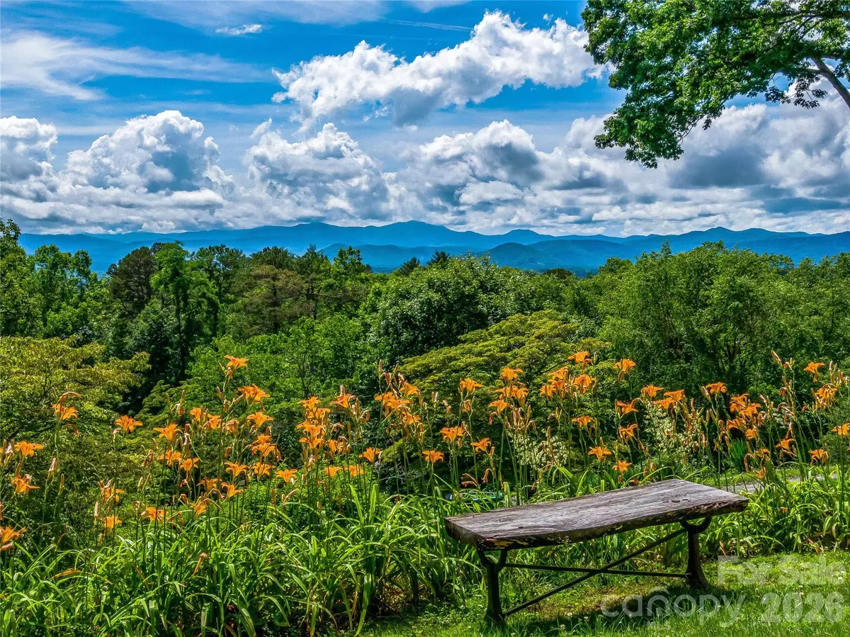 170 Twin Springs Road, Hendersonville, NC 28792 - #1