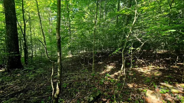 Lot 11 Elk Creek Mountain Parkway #11, Todd, NC 28684