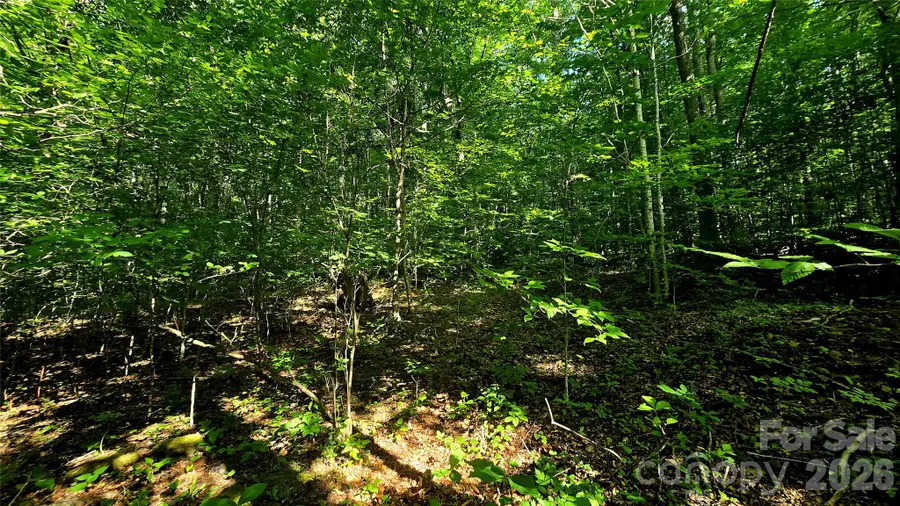 Lot 11 Elk Creek Mountain Parkway #11, Todd, NC 28684 - #2