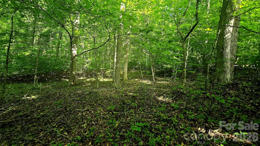 Lot 11 Elk Creek Mountain Parkway #11, Todd, NC 28684 - #3