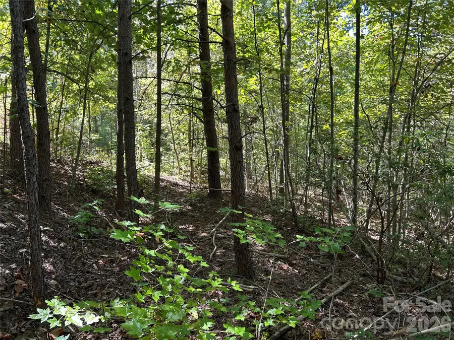 168 Robinwood Trail, Bostic, NC 28018 - #2