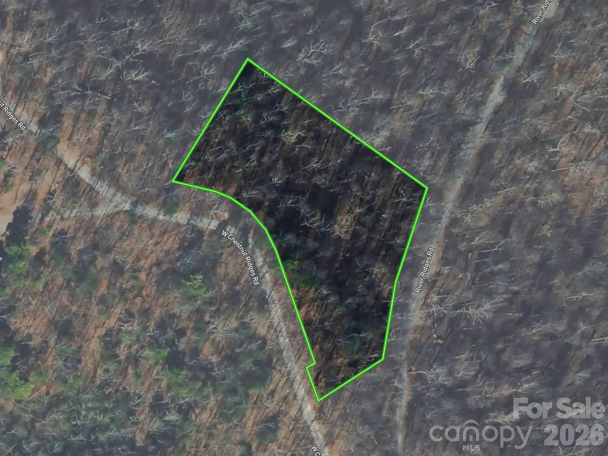 Lot 6 W Chestnut Ridges Road #6, Hendersonville, NC 28739 - #1