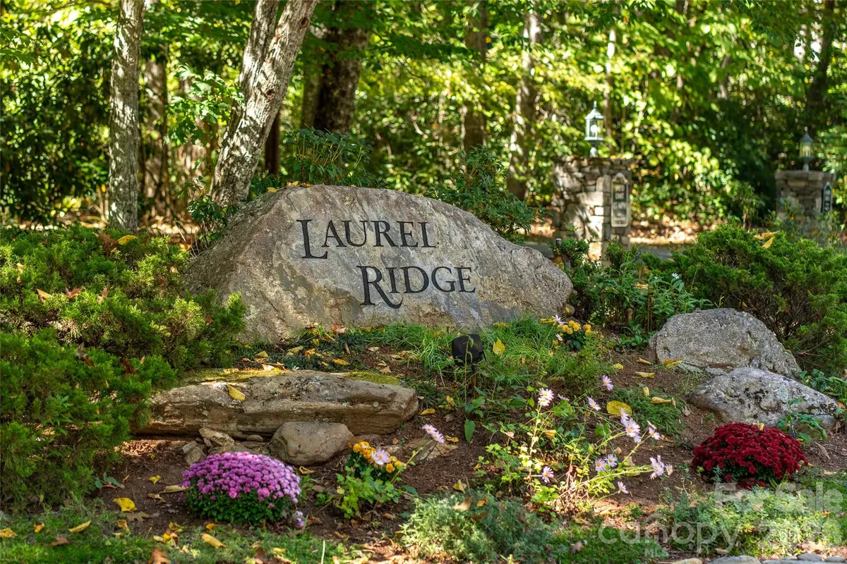 29 Wood Haven Lane, Black Mountain, NC 28711 - #1