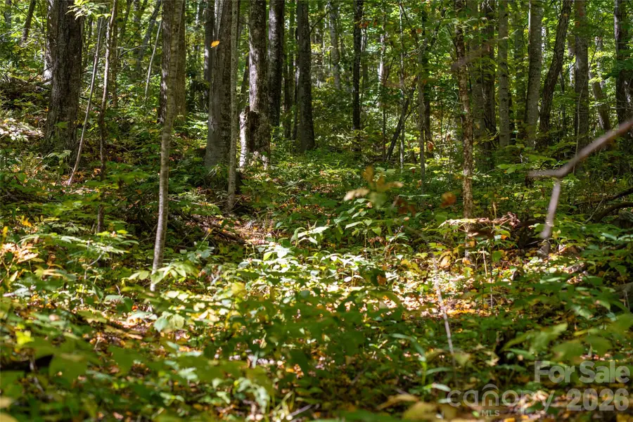 29 Wood Haven Lane, Black Mountain, NC 28711 - #3