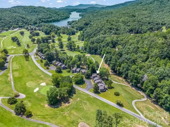 441 Mountains Boulevard #D-101, Lake Lure, NC 28746 - #2