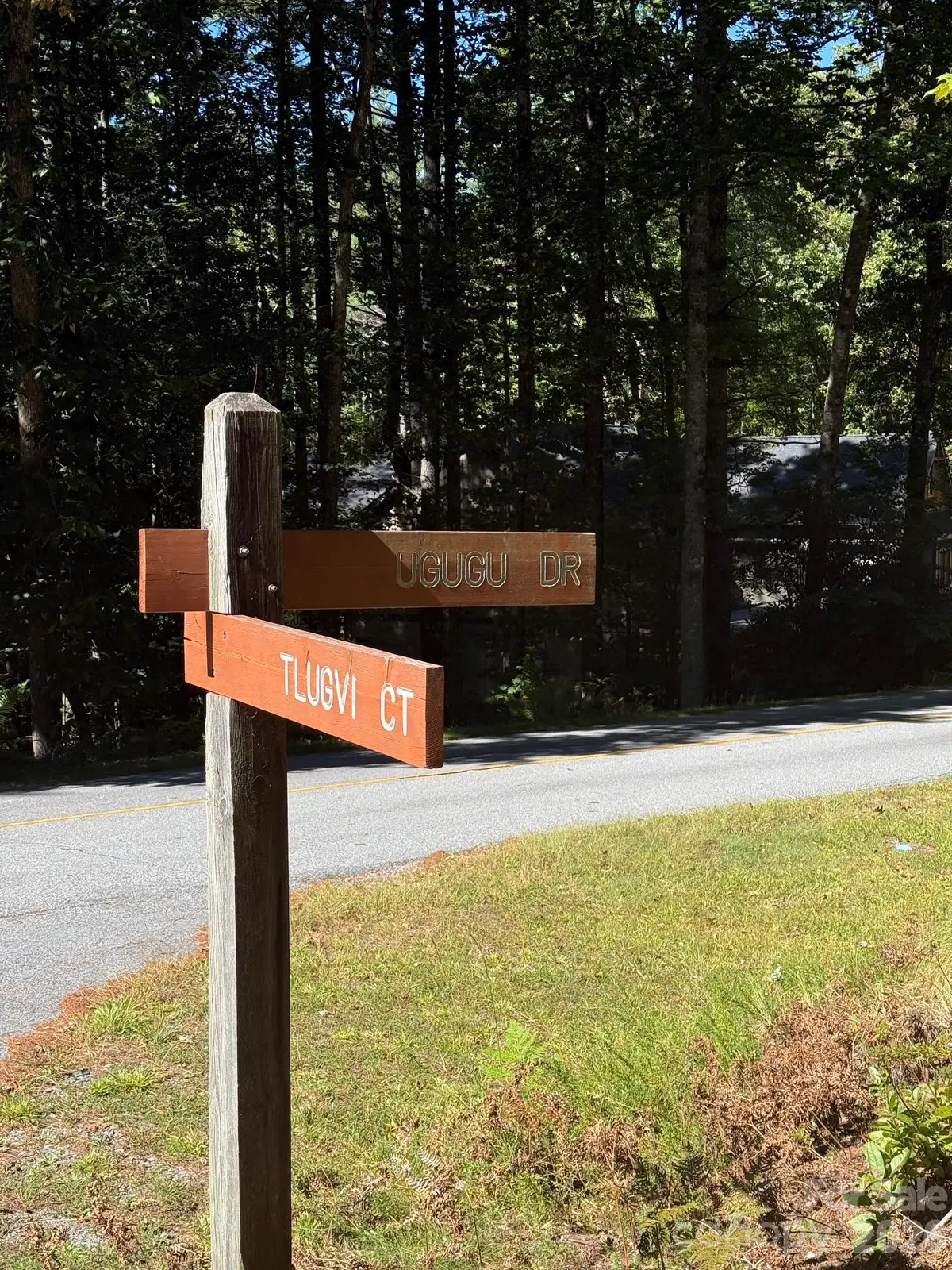 TBD U24 Lot19 Tlugvi Court #19/24, Brevard, NC 28712 - #1